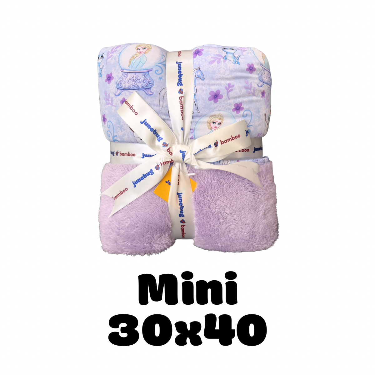 Frosted Fantasyland  30 x 40 Mini Bamboo Plush Blanket